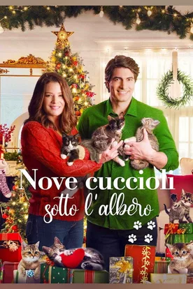 The Nine Kittens of Christmas