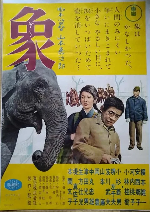 Elephant from "Zoo Story"