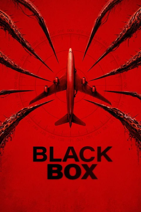 Black Box (Flight 298)