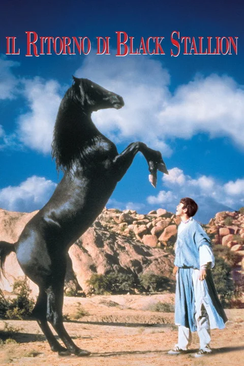The Black Stallion Returns