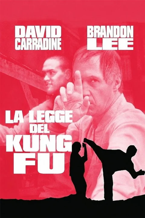 La legge del kung fu