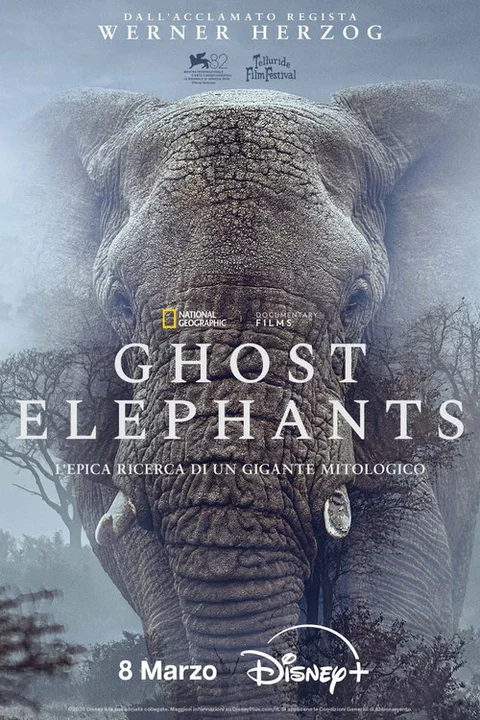 Ghost Elephants
