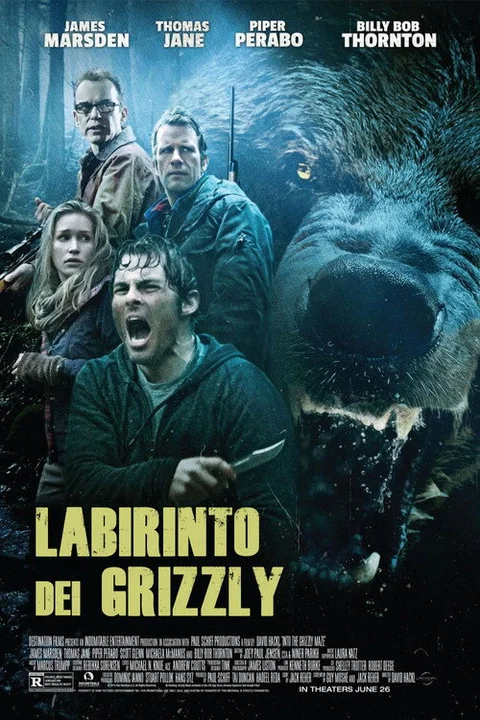 Into the Grizzly Maze
