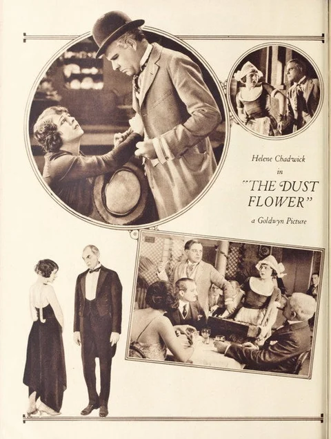 The Dust Flower