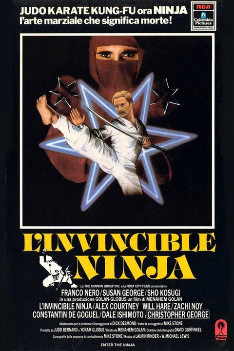 L'invincibile ninja