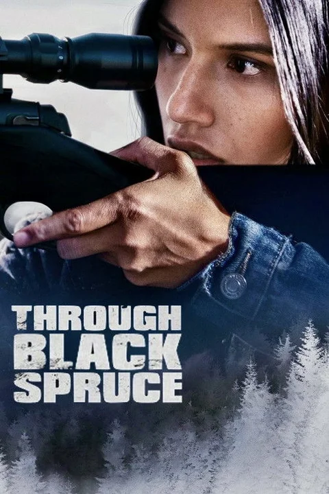 Through Black Spruce