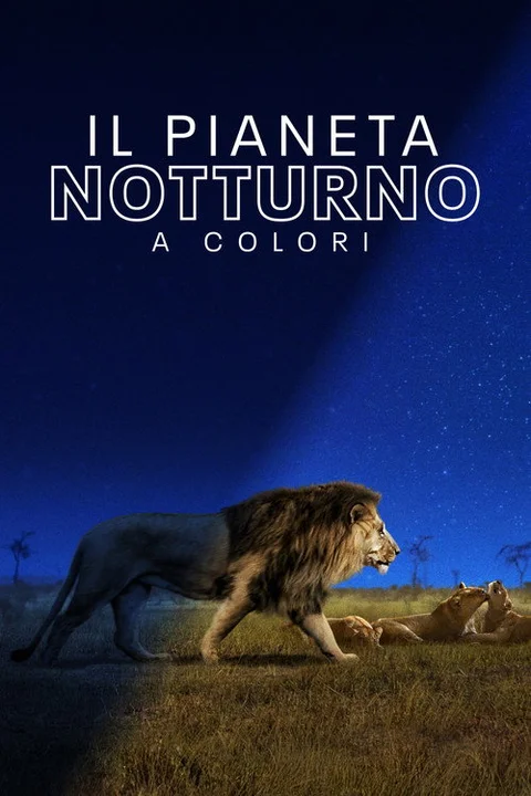 Earth at Night in Colour